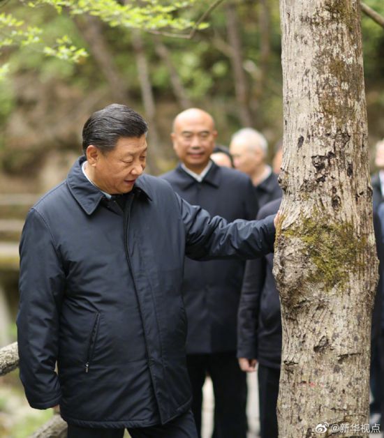 习近平在陕西考察(图3)