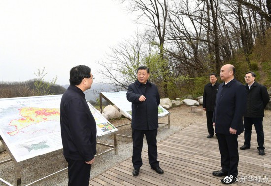 习近平在陕西考察(图7)