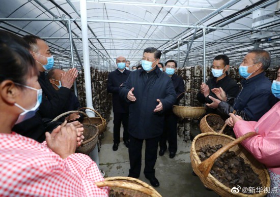 习近平在陕西考察(图12)