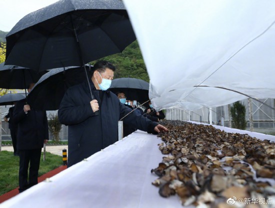 习近平在陕西考察(图13)
