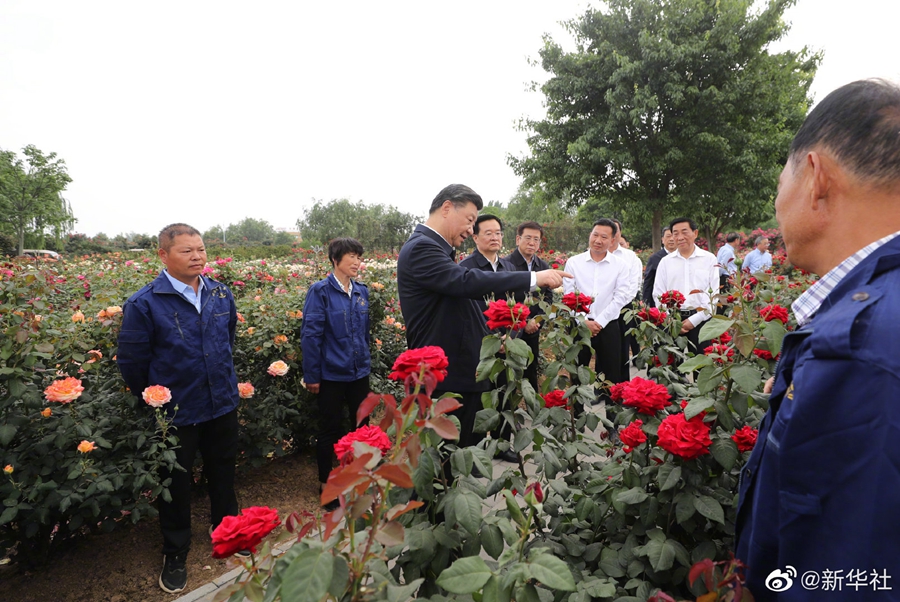 习近平在河南南阳考察调研(图6)